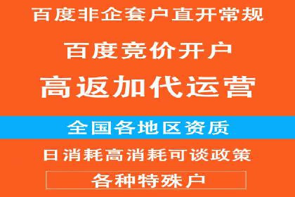 百度SEO推广案例：实战解析与效果展示